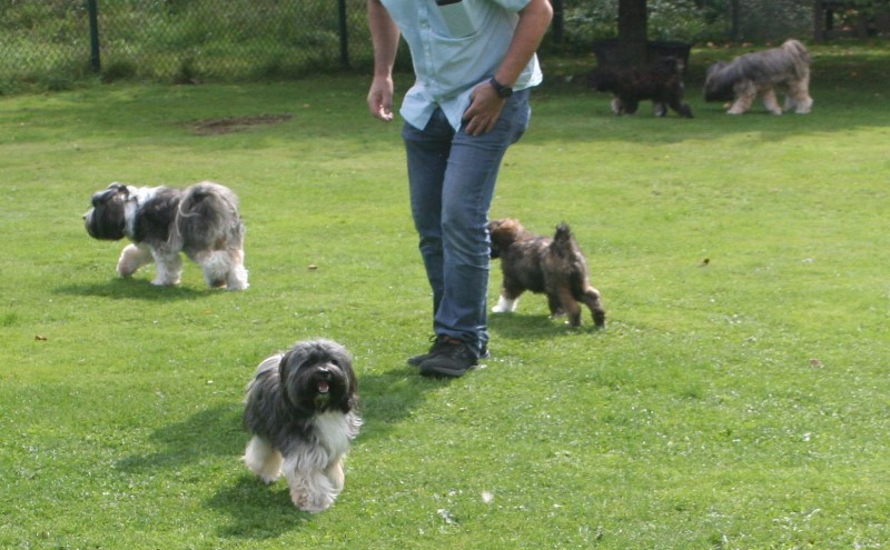 ../Images/Img_2554.jpg