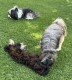 Thumbs/tn_IMG_7437.jpg