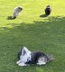 Thumbs/tn_IMG_7439.jpg
