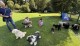 Thumbs/tn_IMG_7441.jpg
