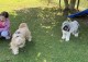 Thumbs/tn_IMG_7444.jpg
