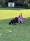 Thumbs/tn_IMG_7445.jpg