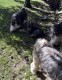 Thumbs/tn_IMG_7448.jpg