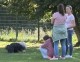 Thumbs/tn_IMG_7454.jpg
