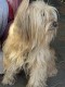 Thumbs/tn_IMG_7455.jpg