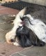 Thumbs/tn_IMG_7458.jpg