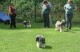 Thumbs/tn_Img_2568.jpg