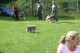 Thumbs/tn_Img_2569.jpg