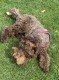 Thumbs/tn_IMG_9500.jpg