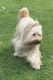 Thumbs/tn_IMG_9502.jpg