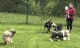 Thumbs/tn_IMG_9503.jpg