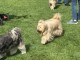 Thumbs/tn_IMG_9504.jpg