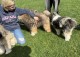 Thumbs/tn_IMG_9516.jpg