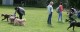 Thumbs/tn_Img_3239.jpg