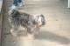 Thumbs/tn_Img_3241.jpg