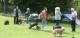 Thumbs/tn_Img_3248.jpg