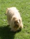Thumbs/tn_Img_3255.jpg